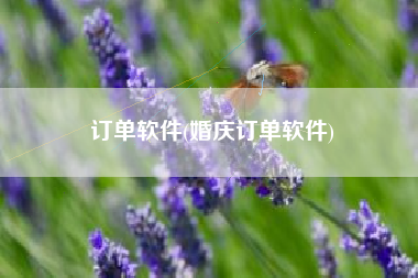 订单软件(婚庆订单软件)