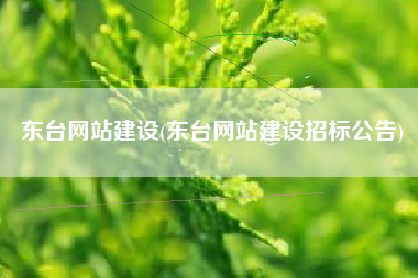 东台网站建设(东台网站建设招标公告)