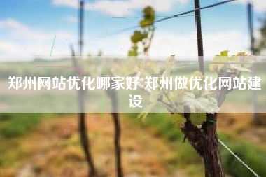 郑州网站优化哪家好 郑州做优化网站建设