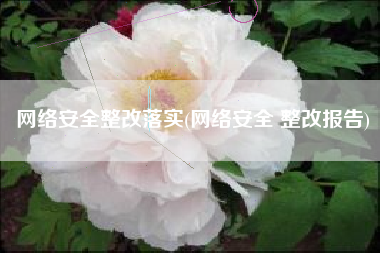 网络安全整改落实(网络安全 整改报告)