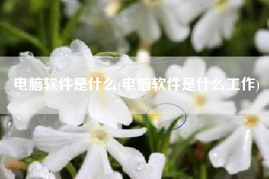 电脑软件是什么(电脑软件是什么工作)