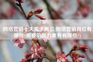 网络营销十大需求岗位(网络营销岗位有哪些?需要的能力素养有哪些?)