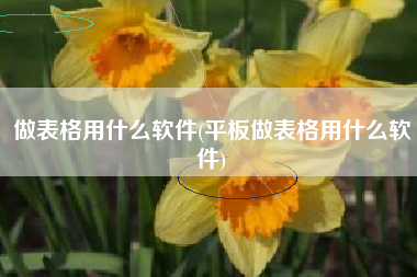 做表格用什么软件(平板做表格用什么软件)