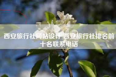 西安旅行社网站设计 西安旅行社排名前十名联系电话