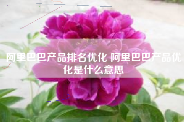 阿里巴巴产品排名优化 阿里巴巴产品优化是什么意思