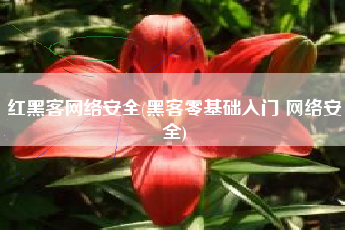 红黑客网络安全(黑客零基础入门 网络安全)
