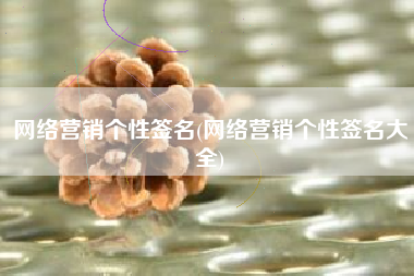 网络营销个性签名(网络营销个性签名大全)