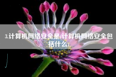 3.计算机网络安全是(计算机网络安全包括什么)