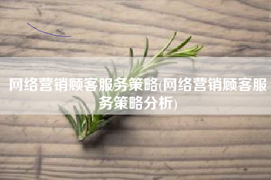 网络营销顾客服务策略(网络营销顾客服务策略分析)