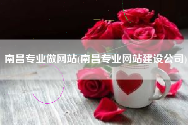 南昌专业做网站(南昌专业网站建设公司)