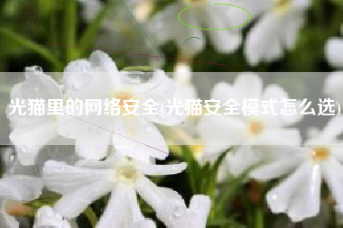 光猫里的网络安全(光猫安全模式怎么选)