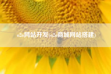 o2o网站开发(o2o商城网站搭建)