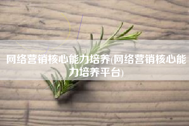 网络营销核心能力培养(网络营销核心能力培养平台)