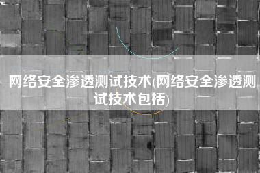 网络安全渗透测试技术(网络安全渗透测试技术包括)