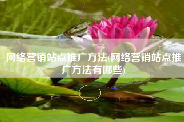 网络营销站点推广方法(网络营销站点推广方法有哪些)