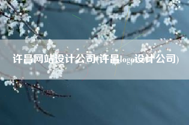 许昌网站设计公司(许昌logo设计公司)