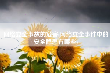 网络安全事故的危害(网络安全事件中的安全隐患有哪些)