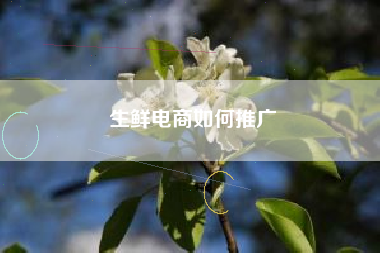 生鲜电商如何推广