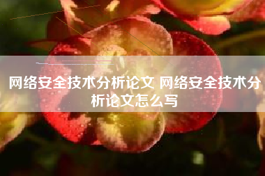 网络安全技术分析论文 网络安全技术分析论文怎么写