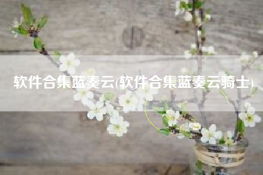 软件合集蓝奏云(软件合集蓝奏云骑士)