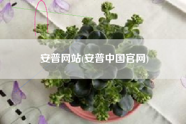 安普网站(安普中国官网)