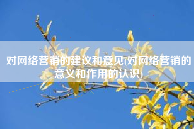 对网络营销的建议和意见(对网络营销的意义和作用的认识)