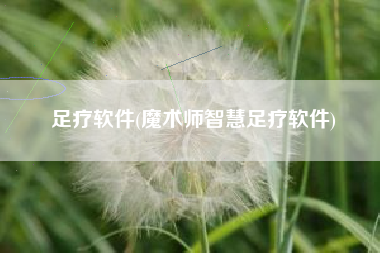 足疗软件(魔术师智慧足疗软件)