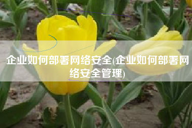 企业如何部署网络安全(企业如何部署网络安全管理)