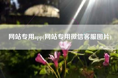网站专用app(网站专用微信客服图片)