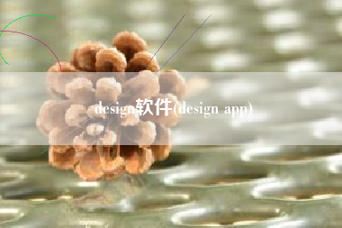 design软件(design app)