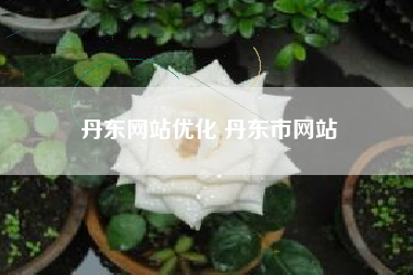 丹东网站优化 丹东市网站