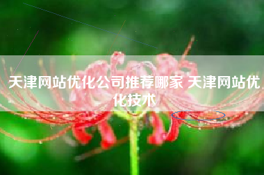 天津网站优化公司推荐哪家 天津网站优化技术