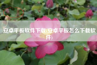 安卓平板软件下载(安卓平板怎么下载软件)