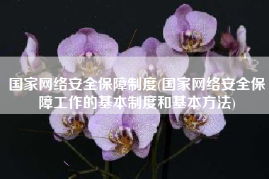 国家网络安全保障制度(国家网络安全保障工作的基本制度和基本方法)