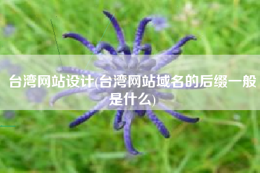 台湾网站设计(台湾网站域名的后缀一般是什么)