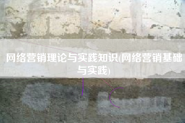 网络营销理论与实践知识(网络营销基础与实践)