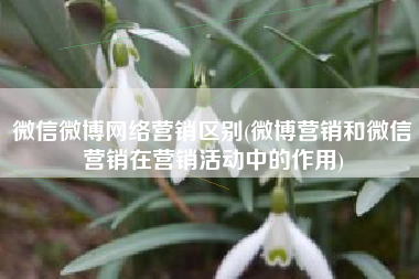 微信微博网络营销区别(微博营销和微信营销在营销活动中的作用)