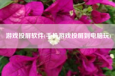 游戏投屏软件(手机游戏投屏到电脑玩)