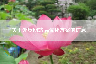 关于外贸网站seo优化方案的信息