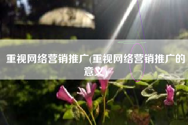 重视网络营销推广(重视网络营销推广的意义)