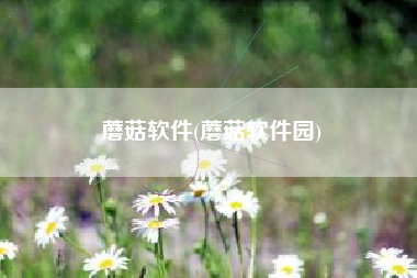 蘑菇软件(蘑菇软件园)