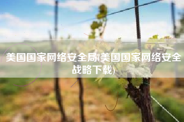 美国国家网络安全局(美国国家网络安全战略下载)