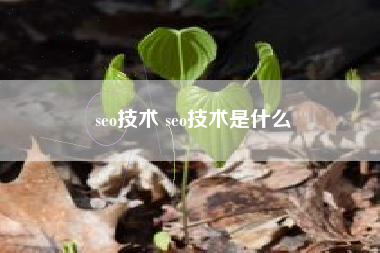 seo技术 seo技术是什么