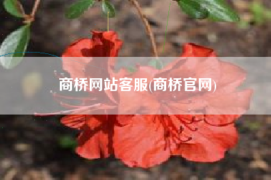 商桥网站客服(商桥官网)