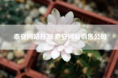 泰安网站开发 泰安网站销售公司