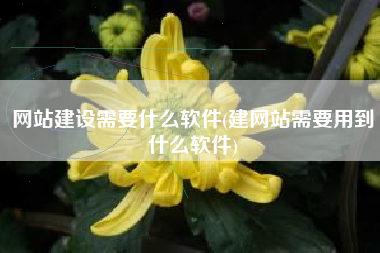 网站建设需要什么软件(建网站需要用到什么软件)