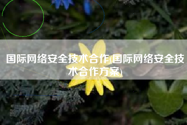 国际网络安全技术合作(国际网络安全技术合作方案)
