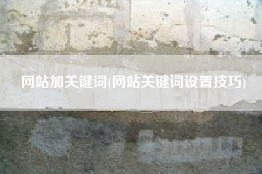 网站加关键词(网站关键词设置技巧)