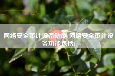 网络安全审计设备功能(网络安全审计设备功能包括)