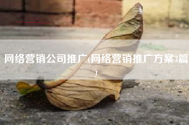 网络营销公司推广(网络营销推广方案3篇)